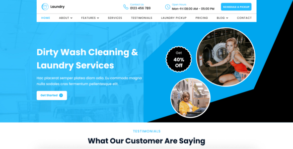 Laundry Cleaner (WordPress)
