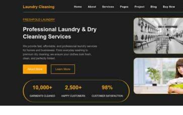 Laundry Cleaning (screenshot desktop)
