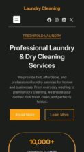 Laundry Cleaning (screenshot mobile)