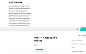 Lawyer Lite (screenshot desktop)