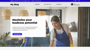 LeadPlatter Cleaning (WordPress)