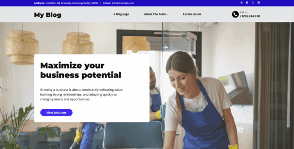 LeadPlatter Cleaning (WordPress)
