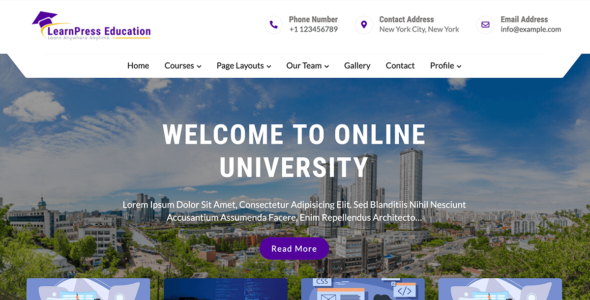 Learn Press Education (WordPress)