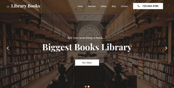 Library Books (WordPress)