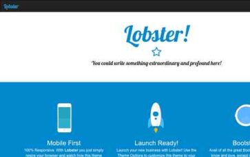 Lobster (Ruairi Phelan) - (screenshot desktop)