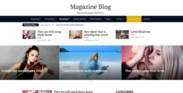 Magazine Blog (WordPress)