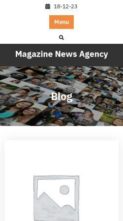 Magazine News Agency (screenshot mobile)