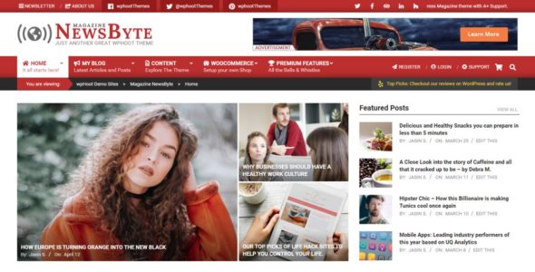 Magazine News Byte (WordPress)