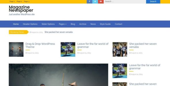 Magazine Newspaper (WordPress)