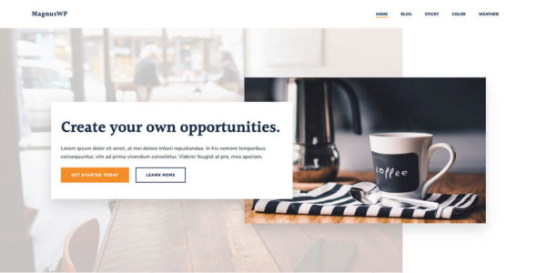 MagnusWP (WordPress)