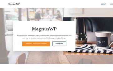 MagnusWP (screenshot desktop)