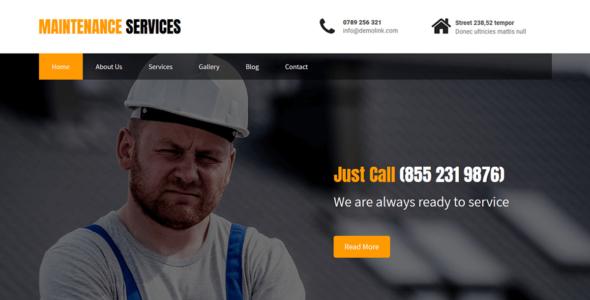 Maintenance Services (WordPress)