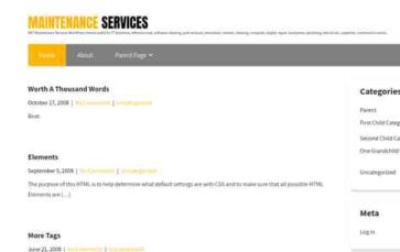 Maintenance Services (screenshot desktop)