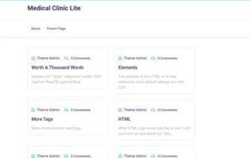 Medical Clinic Lite (screenshot desktop)