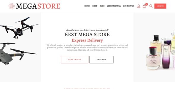MegaStore WDA (WordPress)