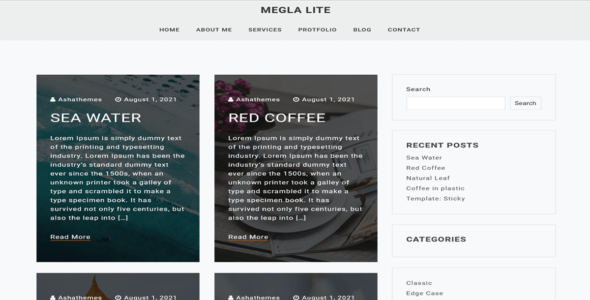 Megla Lite (WordPress)