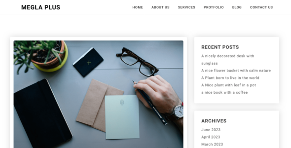 Megla Plus (WordPress)