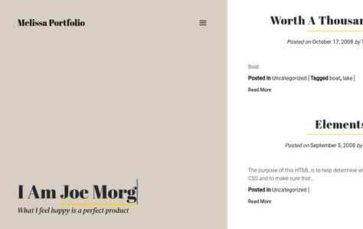 Melissa Portfolio (screenshot desktop)