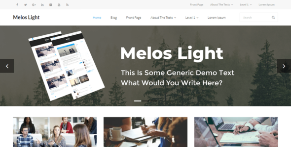 Melos Light (WordPress)