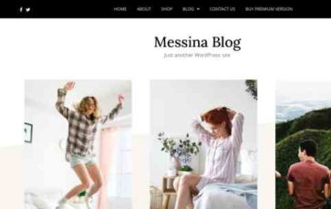 Messina Blog (screenshot desktop)