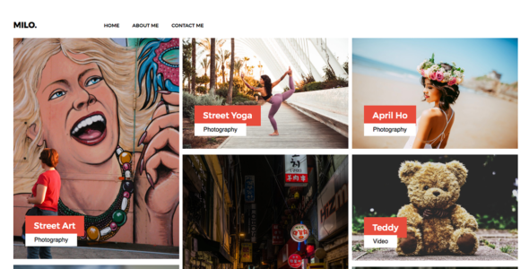 Millo (WordPress)