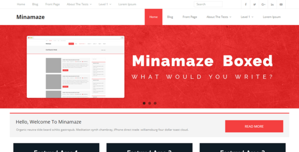 Minamaze Boxed (WordPress)