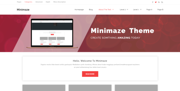 Minamaze Business (WordPress)