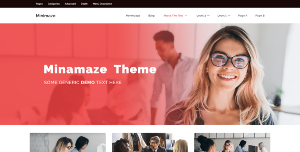Minamaze Corp (WordPress)