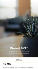 Minimal 20/17 (screenshot mobile)