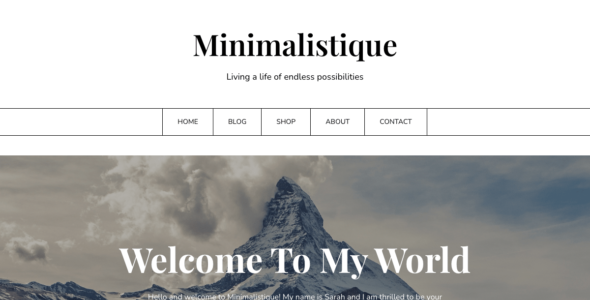 Minimalistique (WordPress)