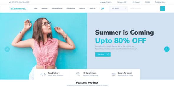 Modern Ecommerce (WordPress)