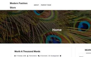 Modern Fashion Store (screenshot desktop)