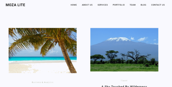 Moza Lite (WordPress)