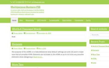 Multipurpose Business FSE (screenshot desktop)