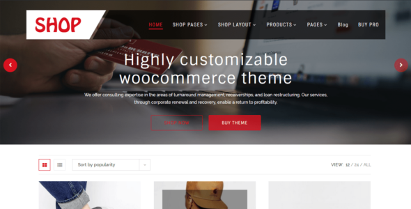 Multipurpose Shop (WordPress)