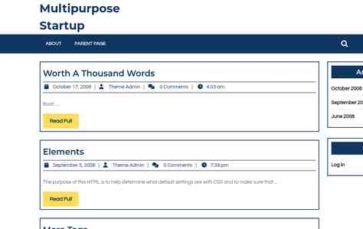 Multipurpose Startup (screenshot desktop)