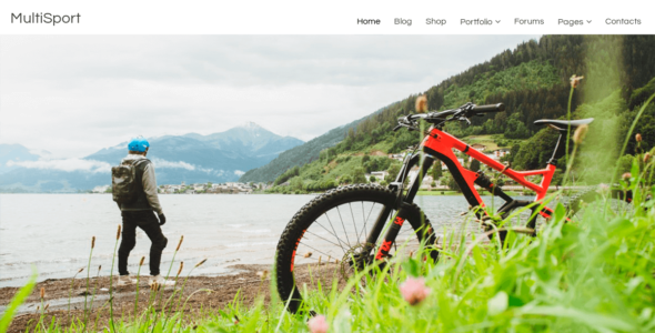 MultiSport (WordPress)