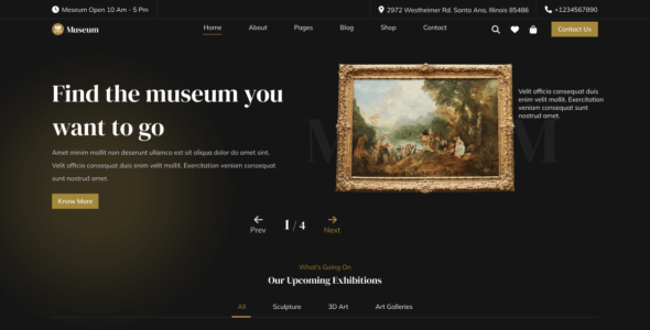 Museum Exhibition (WordPress)