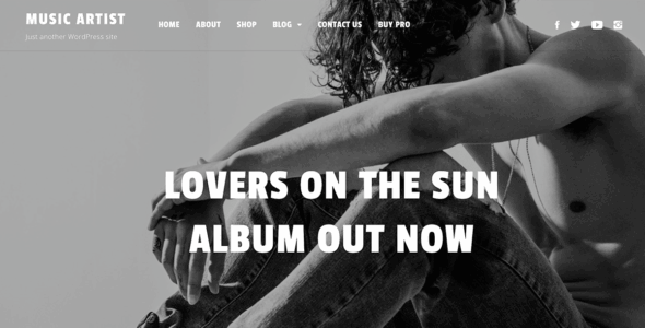 Music Artist (WordPress)