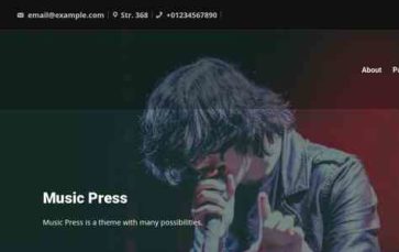 Music Press (SEOS Themes) - (screenshot desktop)
