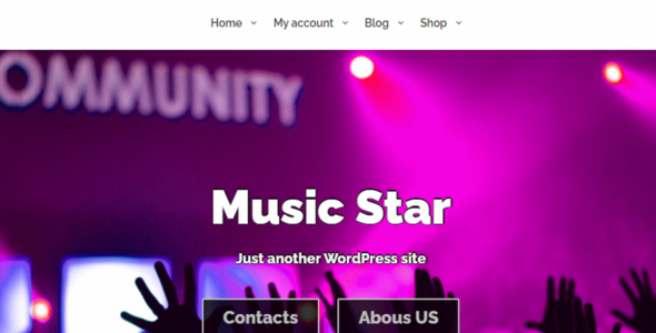 Music Star (WordPress)