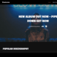Musicana (WordPress)