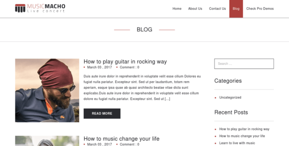 MusicMacho (WordPress)