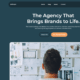 Nebula Marketing Agency (WordPress)