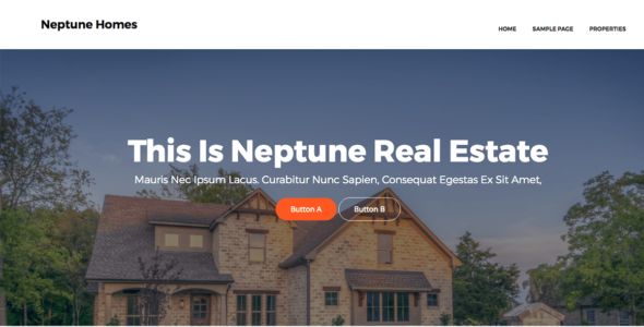 Neptune Real Estate (WordPress)