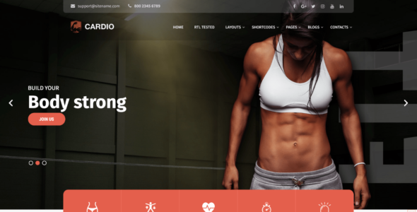 Netnus Cardio Lite (WordPress)