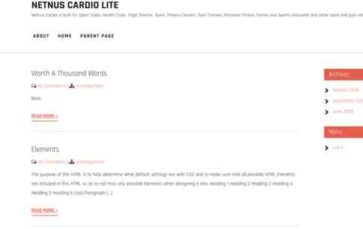 Netnus Cardio Lite (screenshot desktop)