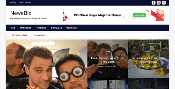 News Biz (WordPress)