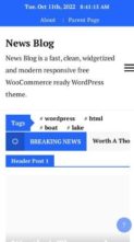 News Blog (screenshot mobile)