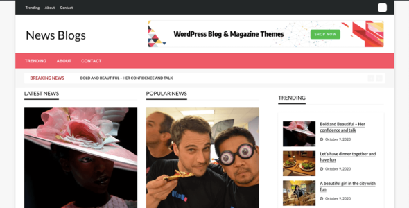 News Blogs (WordPress)